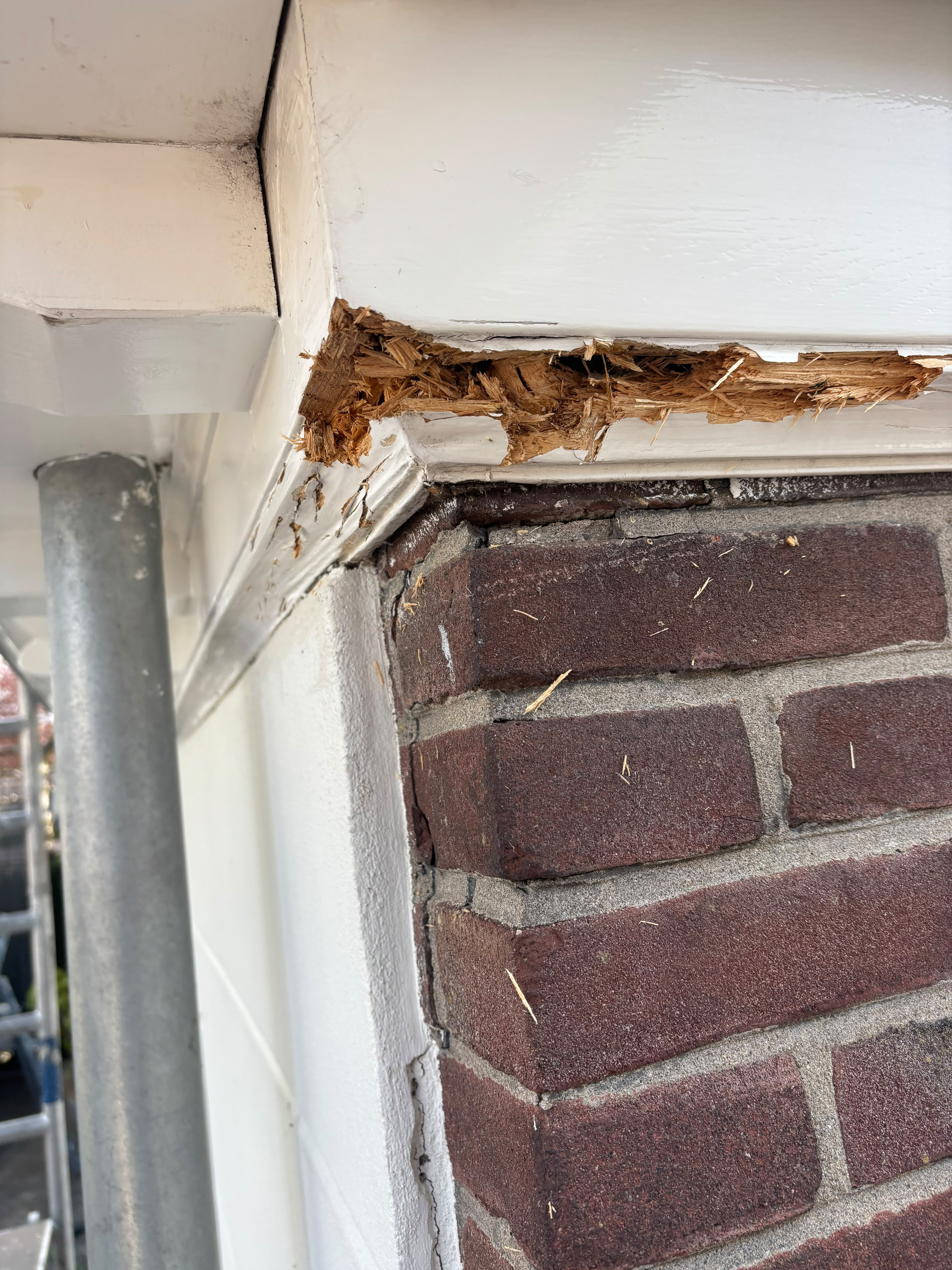 Houtrot voor herstel